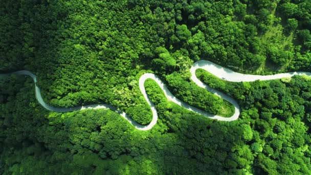 Flygfoto Över Bergsvägen Går Genom Skogslandskapet — Stockvideo