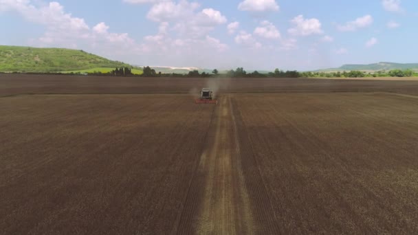 Mähdrescher Landmaschinen Die Goldene Reife Weizenfelder Ernten Video — Stockvideo