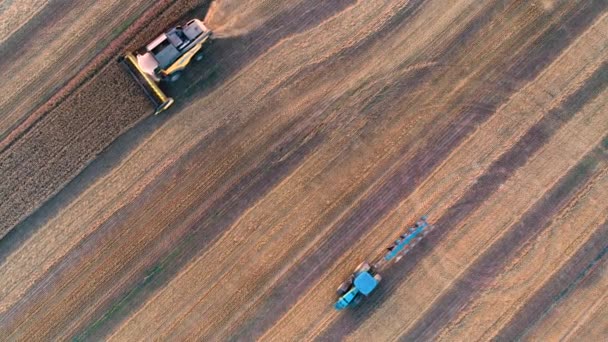 组合收割机农业机械和拖拉机收获金熟小麦田 4K视频 — 图库视频影像