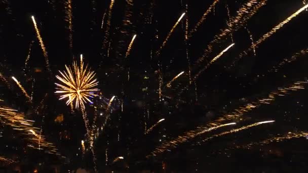 Vuurwerk Sprankelend Aan Nachtelijke Hemel Feestelijk Concert Vakantie 2020 — Stockvideo