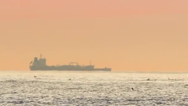 Sonnenaufgang Meer Und Segelfrachter Mit Containern — Stockvideo