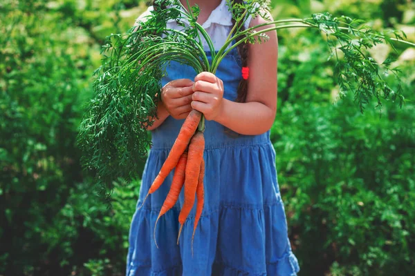庭にニンジンと美しい小さな子供 女の子農家園芸家 — ストック写真