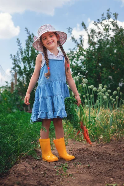 Bahçesinde Havuç Olan Güzel Bir Çocuk Kız Çiftçi Bahçecilik — Stok fotoğraf