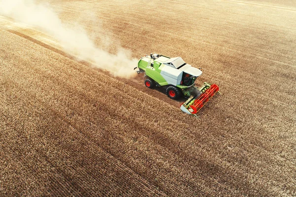 Mähdrescher Landwirtschaftliche Maschine Erntet Goldenen Reifen Weizen Feld — Stockfoto