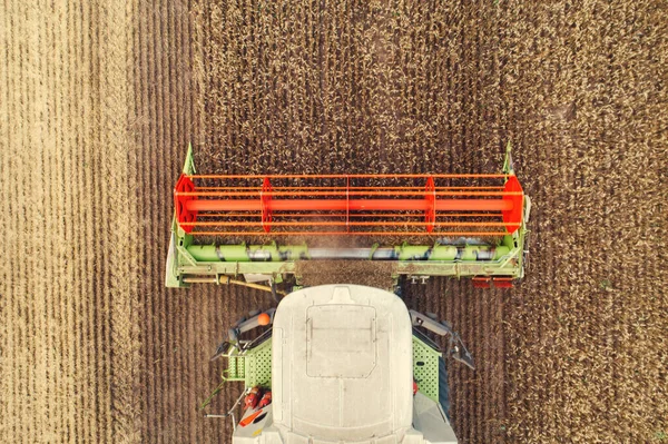 Mähdrescher Landwirtschaftliche Maschine Erntet Goldenen Reifen Weizen Feld — Stockfoto