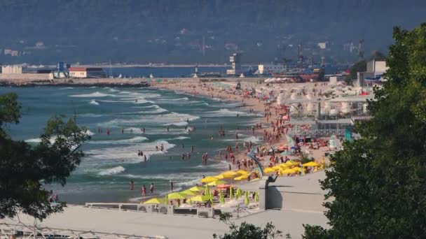 불가리아의 바르나에서의 공중에서 해변을 바라보고 있습니다 재밌게 최상의 휴가목적지 — 비디오