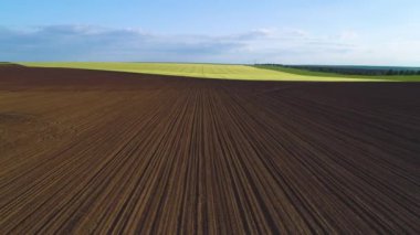 Gün batımında tarımsal yeşil alanda hava manzarası. Çiftlik arazisi.