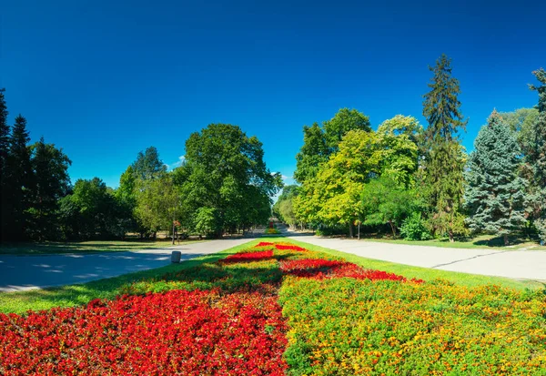 Frühling Meer Garden Park Varna Bulgarien — Stockfoto