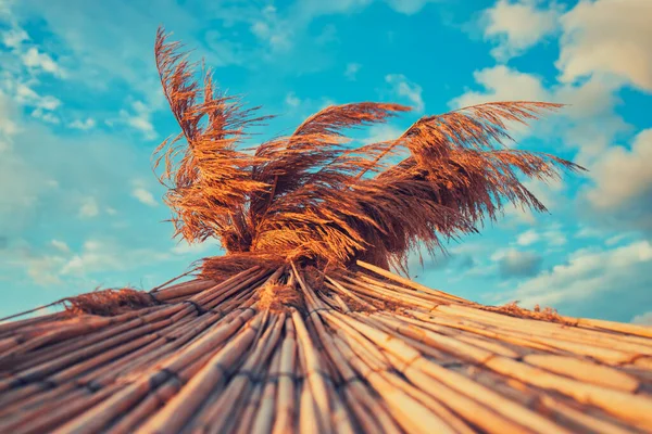 Straw Umbrella Tropical Sea Beach Beautiful Sunrise Sky Clouds — Stock Photo, Image