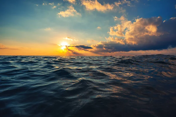 Deniz dalgası yakın, alçak açılı, güneşli bir çekim..