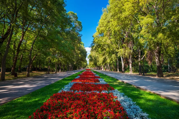 Frühling Meer Garden Park Varna Bulgarien — Stockfoto