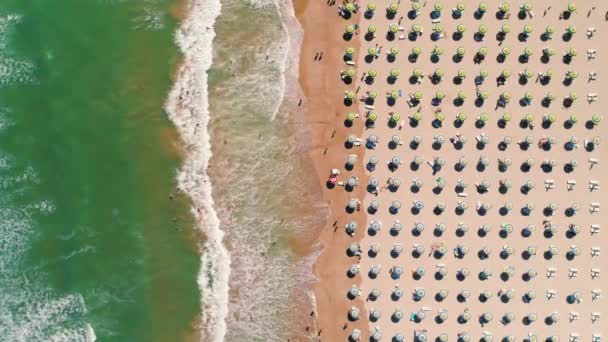 Pohled Shora Dolů Pláž Slunečníky Lidmi Letní Dovolená — Stock video