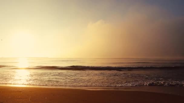 Zee Zonsopgang Boven Tropische Exotische Strand Kust — Stockvideo