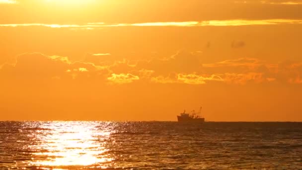 Yelkenli Yat Altın Deniz Gündoğumu — Stok video