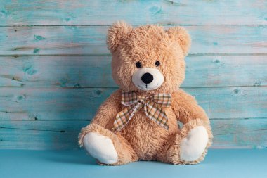 Vermont yapımı oyuncak ayı peluş çocuk oyuncağı 