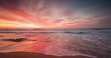Tropikal plajın üzerinde altın gün doğumu, kıyı şeridinde manzaralı okyanus günbatımı
