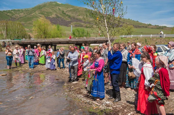 Alter russischer Ritus: eine Birke versenken. — Stockfoto