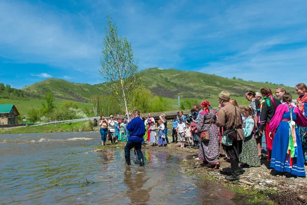 Alter russischer Ritus: eine Birke versenken. — Stockfoto