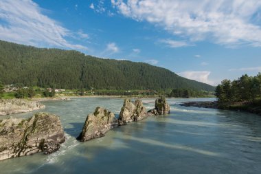 Hızlı dağ nehri Katun.