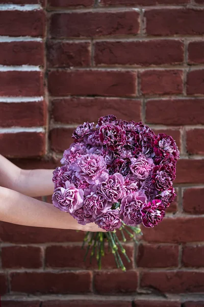 Krásná dvoubarevná růže — Stock fotografie