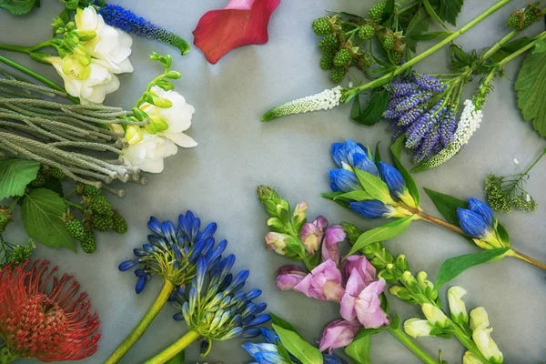 花卉组合 flatlay — 图库照片