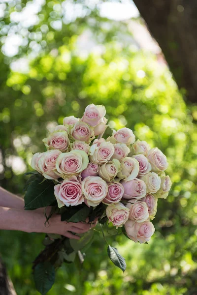 Mãos femininas segurando buquê de beleza de rosas vermelhas — Fotografia de Stock