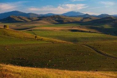 Altay 'daki dağlarda güzel bir yaz akşamı, panoramik bir resim.