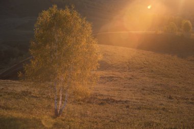 Güzellik gündoğumu dağlarda