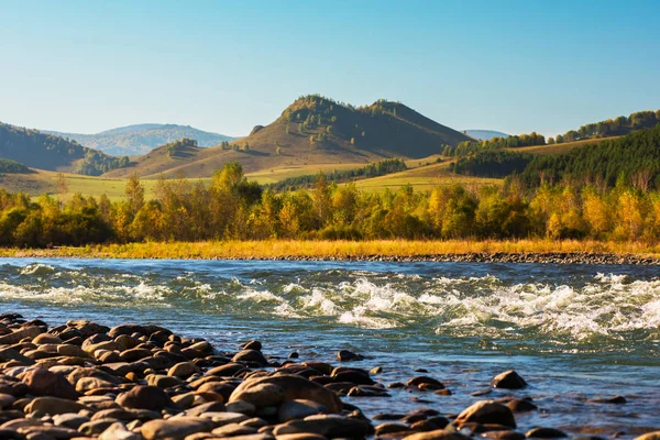 Altay nehirde hızlı dağ — Stok fotoğraf