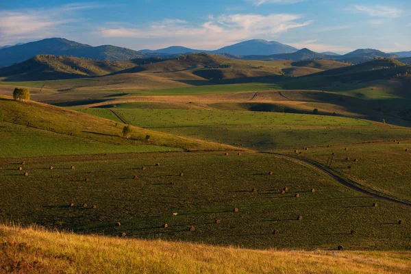 Piękny Letni Wieczór Górach Altay Zdjęcie Panoramiczne — Zdjęcie stockowe