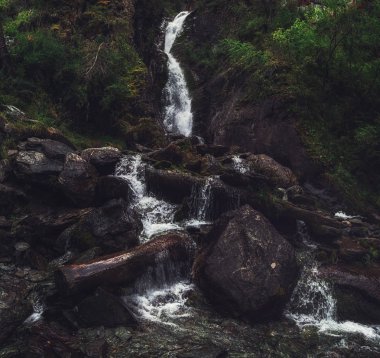 Altai Dağlarında Şelale