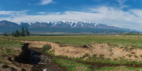 Panorama van Altaj met rivier — Stockfoto