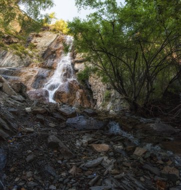 Altai Dağlarında Şelale