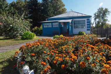 Eski okul eğitimi nerede Vasili Shukshin Srostki köyü. Altaiskiy Krayı. Batı Sibirya. Rusya