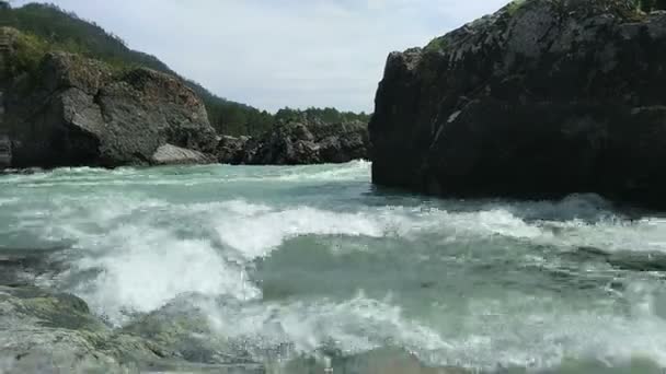 De berg Katun rivier — Stockvideo