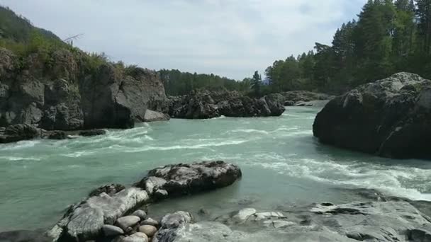 The mountain Katun river — Stock Video