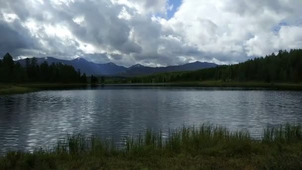 Озеро в горах Алтая — стоковое видео
