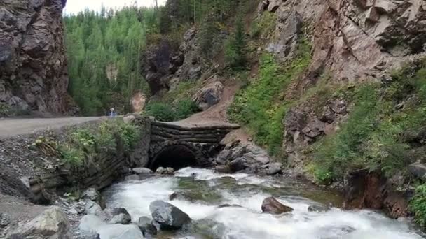 Гірська річка, що тече серед скель — стокове відео