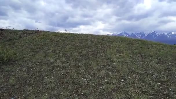 Курайская степь и Северо-Чуйский хребет — стоковое видео