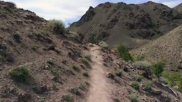 Trail in high mountain — Stock Video