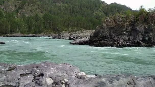 Der Berg katun Fluss — Stockvideo