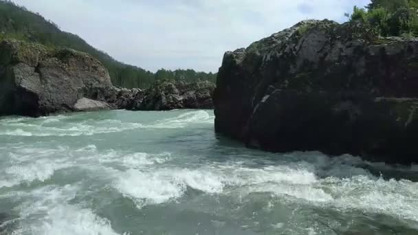 The mountain Katun river — Stock Video