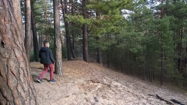 Skákat z bungee v lese — Stock video