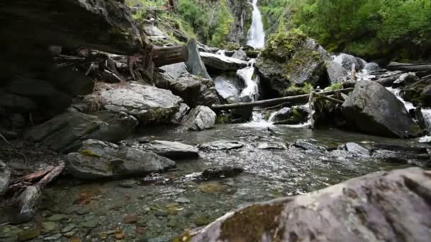 Cachoeira nas Montanhas Altai — Vídeo de Stock