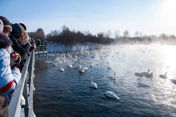 Altaiskaya zimovka férias - o primeiro dia de inverno — Fotografia de Stock