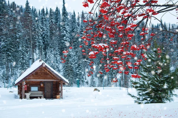 Casa de férias de inverno na floresta . — Fotografia de Stock