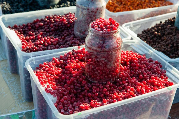 Frutas de bayas rojas congeladas — Foto de Stock