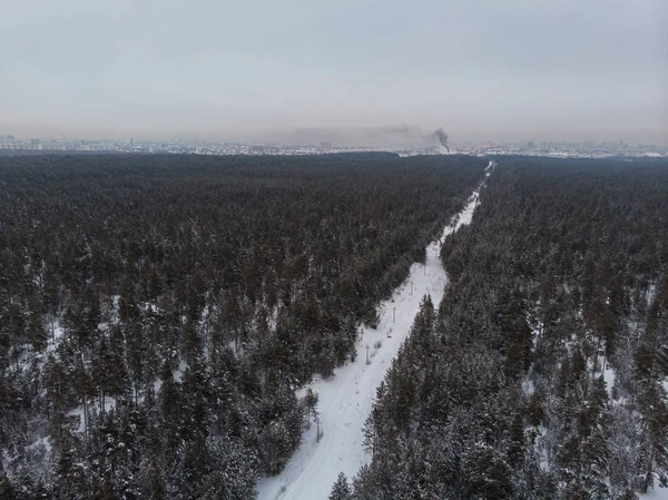 Luftaufnahme des Winterwaldes. — Stockfoto