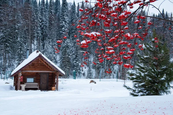 Winter holiday house in forest.