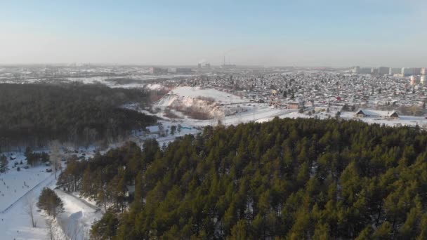 Flygfoto av vinterskog. — Stockvideo